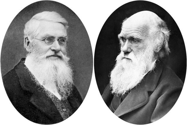 进化论有2个“诡异之处”，达尔文也无法解释，人类起源再被质疑