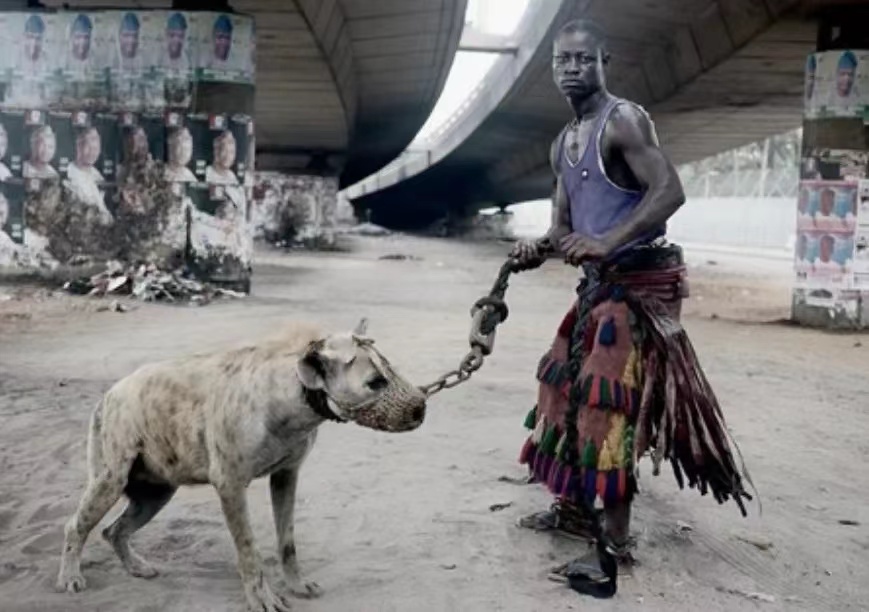 “非洲二哥”鬣狗，不怕狮子却怕非洲人？究竟非洲人怎么对它的？