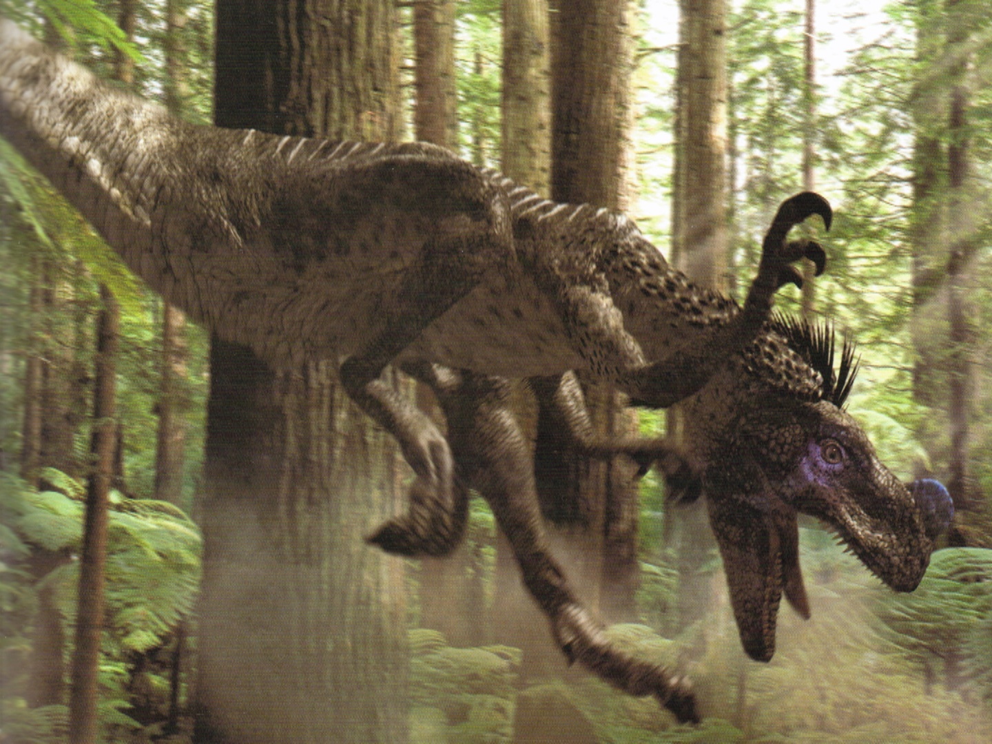 最为古老的恐龙之一，身形矫健的食肉龙（埃雷拉龙）