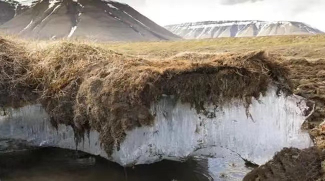 史前生物遗骸在北极被发现，科学家对其担忧不已