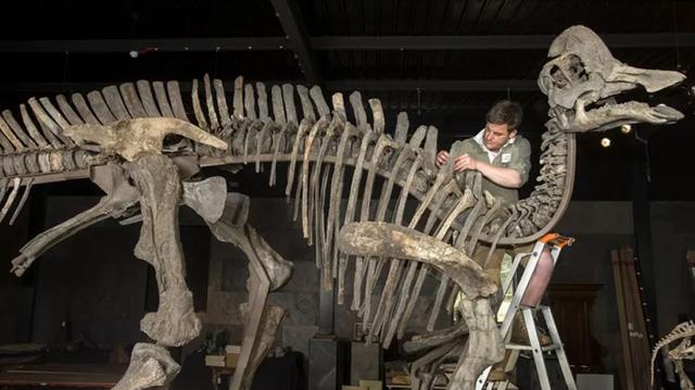 6年前中国科学家发现唯一的恐龙肉身残骸，能否“复活”恐龙