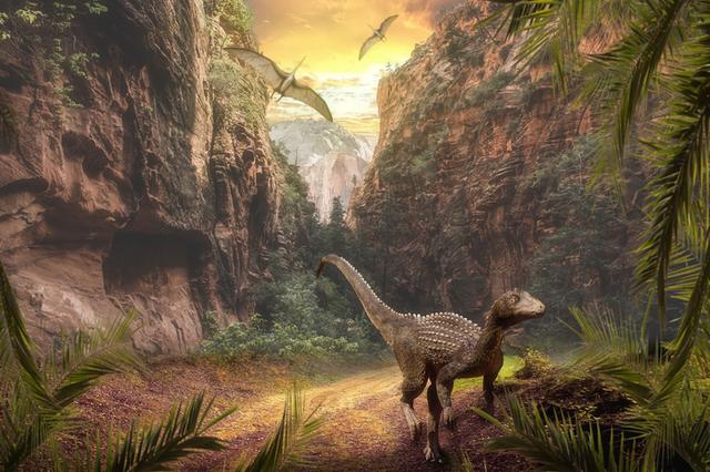 2.34亿年前，一场200万年的大雨，将恐龙扶上霸主宝座