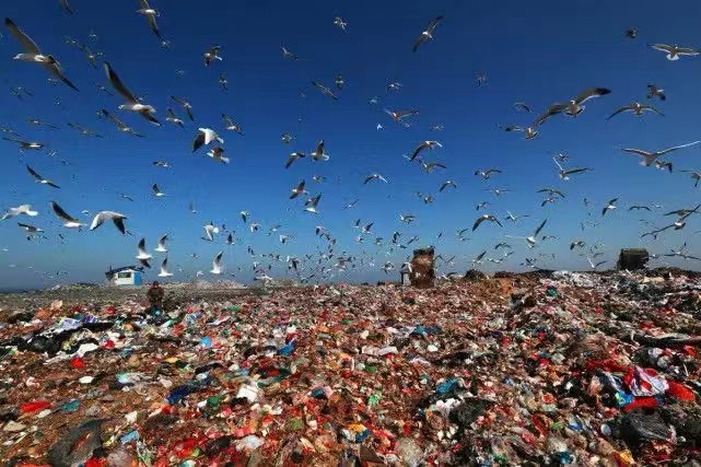 海洋垃圾被中国拒收四年，曾经的电子垃圾之都，现在是如何？