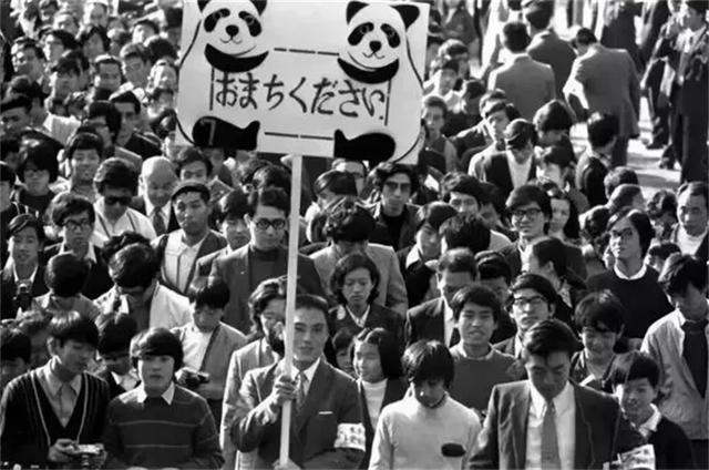 中国大熊猫年赚267亿，日本四次延期归还，真是因感情太深