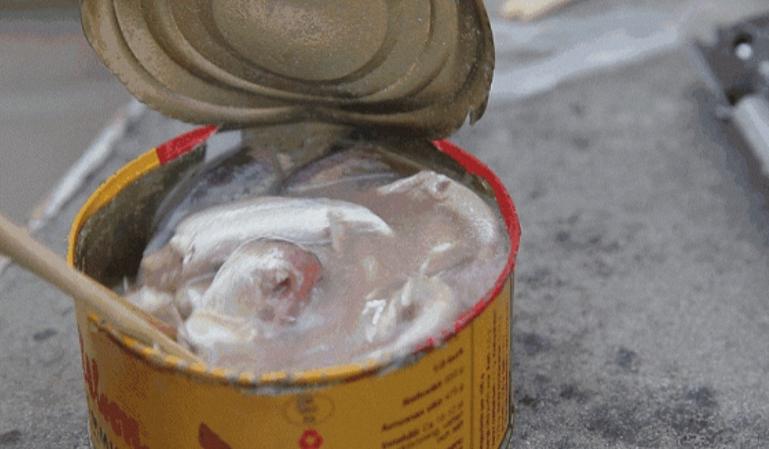鲱鱼罐头远近闻名 瑞典人为何一年能够吃掉八百多吨，怎么吃下去