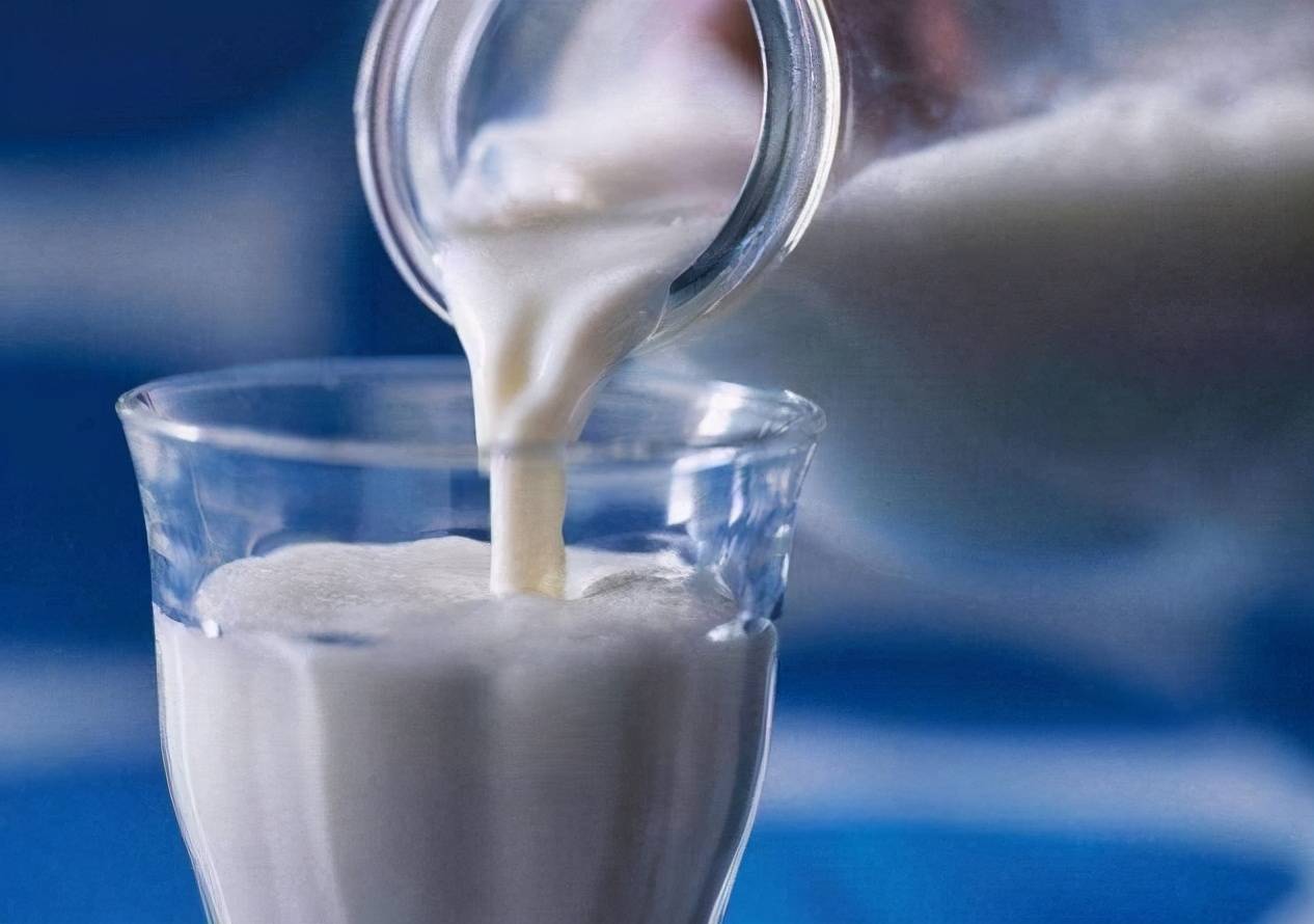 高价牛奶的背后，只因奶牛吃得比人都好？（高端牛奶）