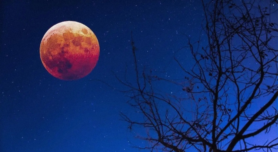 不祥之兆到来？预测11月出现血月，为什么有人害怕？(恐怖传说)