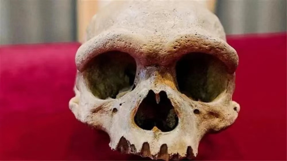在中国发现14万年前的头骨（人类进化的证据）