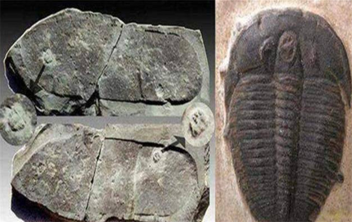 “史前文明”存在的证据 2.5年前的脚印被发现  进化论被推翻