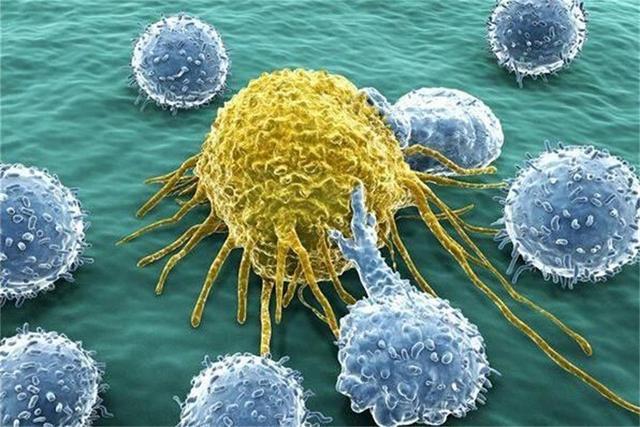 如果人生吞一亿个癌细胞，有什么后果？会因此得癌症吗