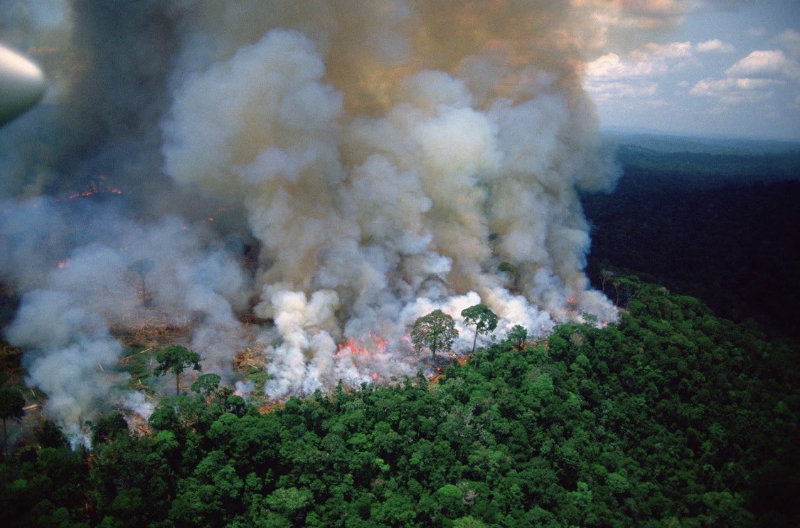 美国两个地区森林起火，烧了97平方公里（自然灾难）