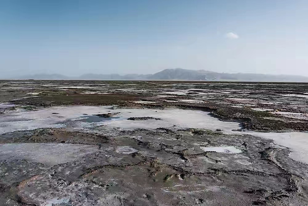北极冻土层融化，5万年前的古生物尸体暴露，科学家看来不是好事