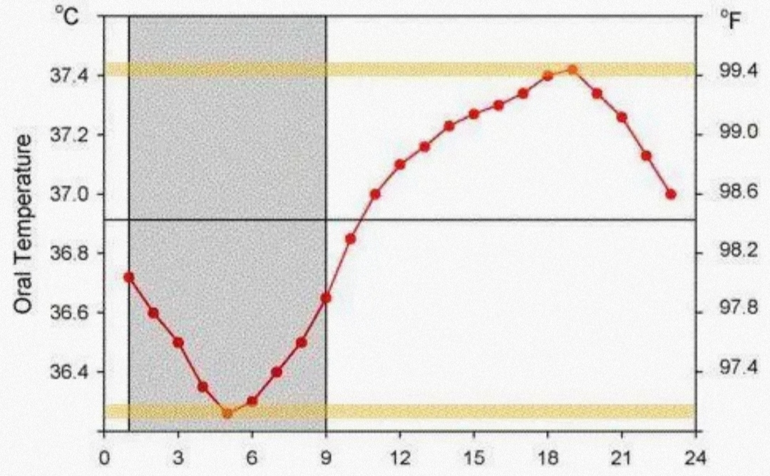 科学家尝试一天28小时，一周6天的活动，会发生什么？(无法确定)