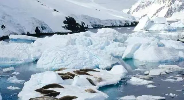 在北极发现4.6万年前的尸体，如果地球热到无法居住人类怎么办