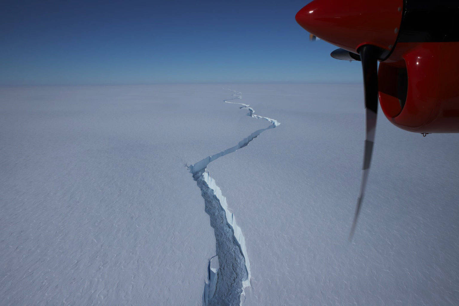 南极冰架900米下发现神秘生命，疑似非地球生命（冰底生物）