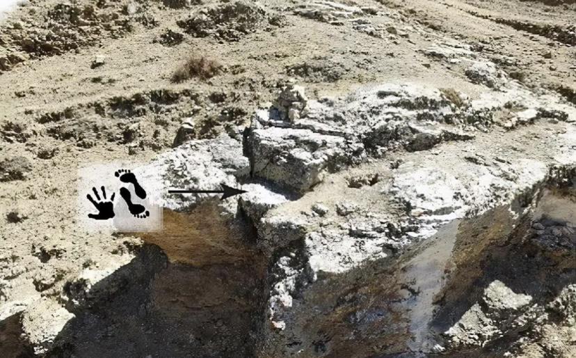 在我国青藏高原发现了22.6万年前遗留的清晰手印痕迹 是谁留下的