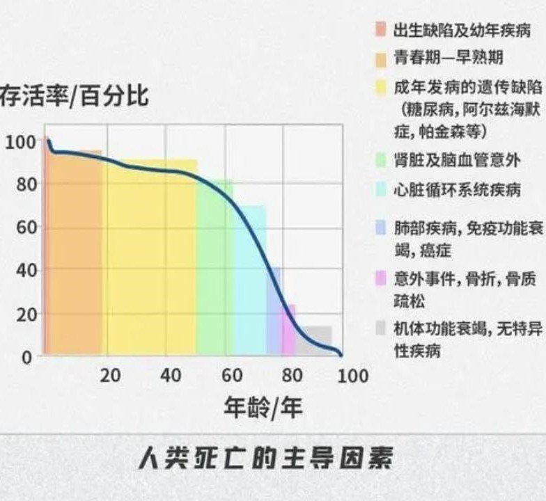 若KAT7被控制，人类平均寿命可延长至平均超过80岁？（基因设定）