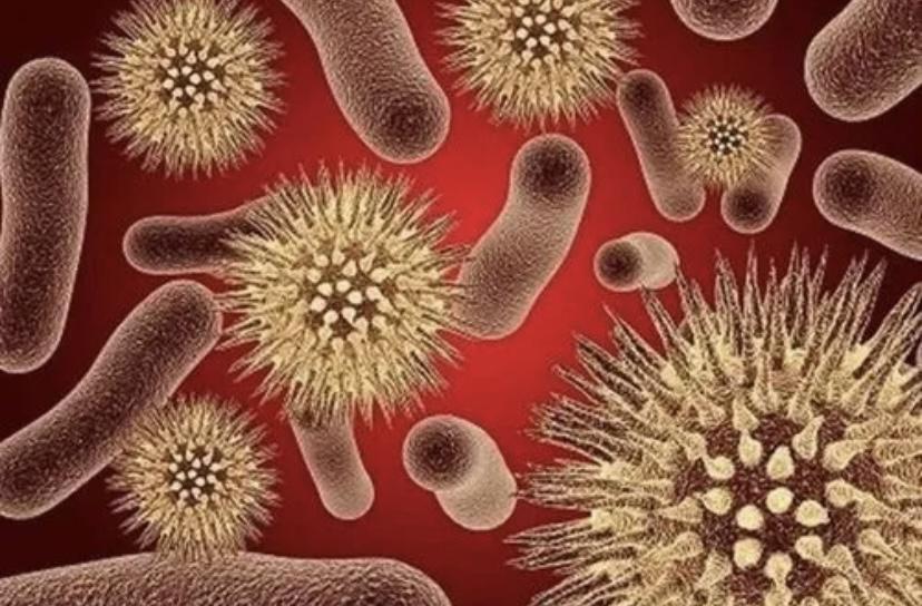 霍乱是全球最可怕的传染病之一，人们应该如何预防？
