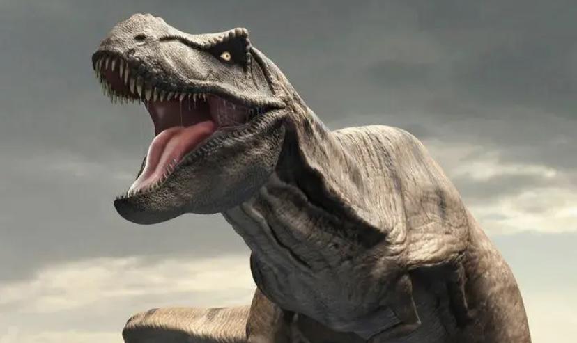 历史上体型最大的恐龙有哪些？曾经的地球霸主比霸王龙还要庞大！