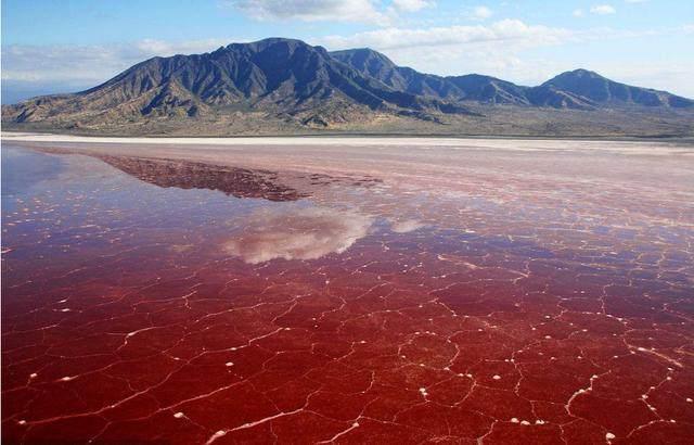 世界上最恐怖的死亡之湖，只要皮肤接触到湖水，就会被宣告死亡！