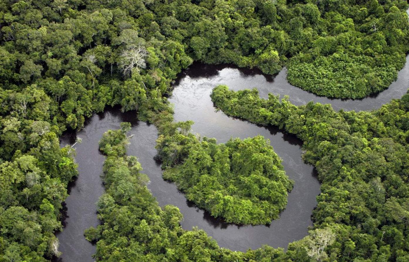 2020年亚马逊雨林出现破纪录野火（气候变化）
