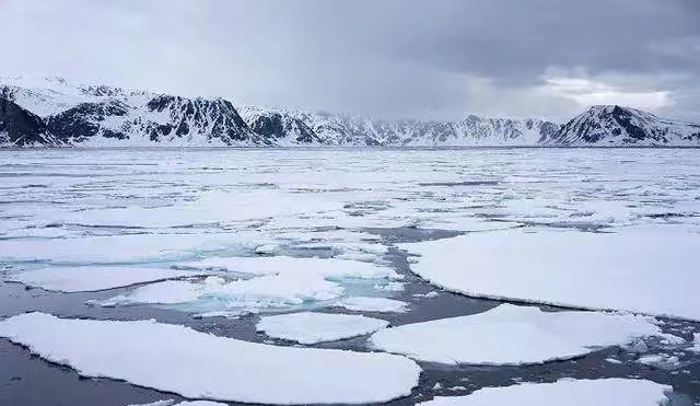 生命的终结地南极，冰冷的南极深海隐藏着多少秘密？