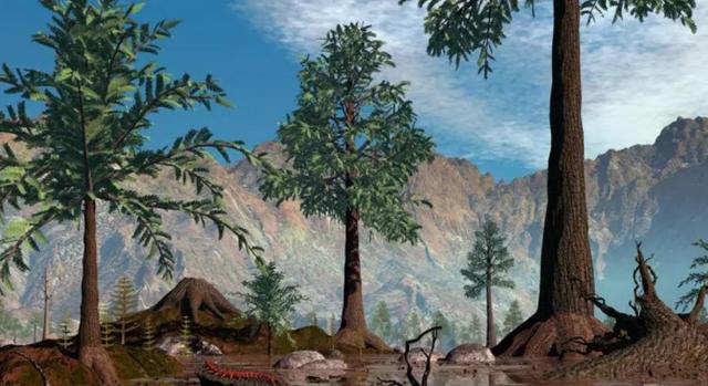 森林真的越多越好吗？早在3.06亿年前，地球就给出了答案