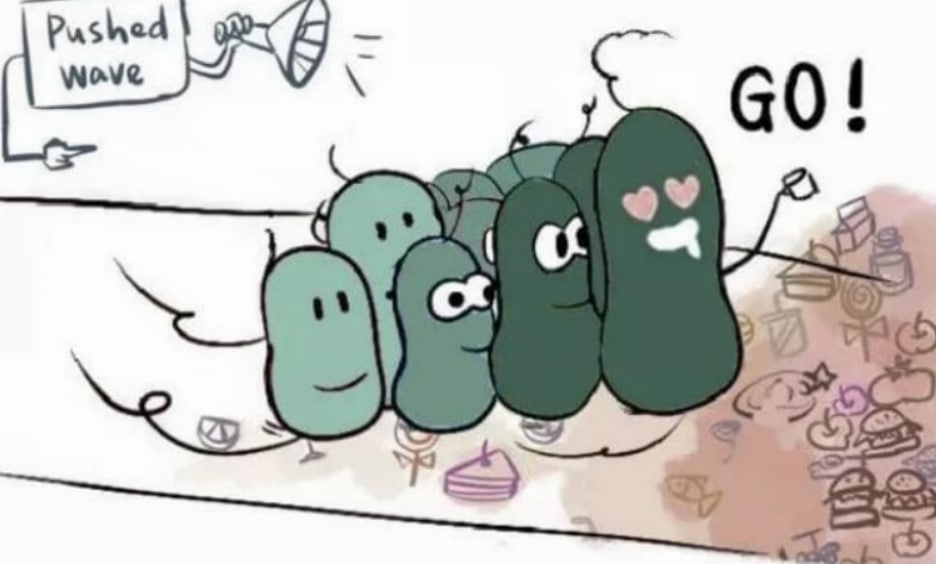 细菌在管道中整齐的分布排列生长，是因为有强迫症吗？
