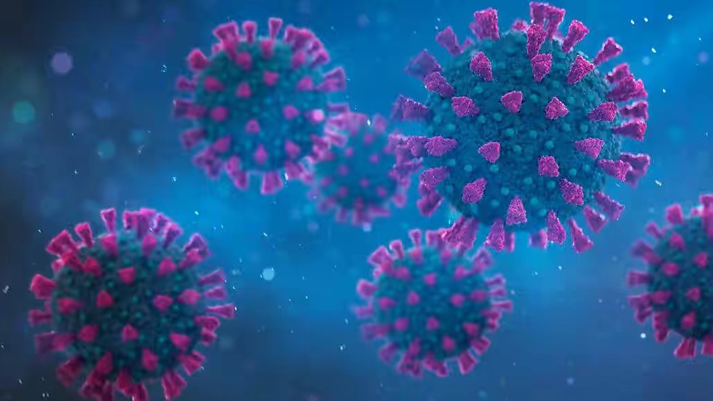 研究发现，抗体在冠状病毒表面上移动时像小孩一样在抗原上跃玩耍