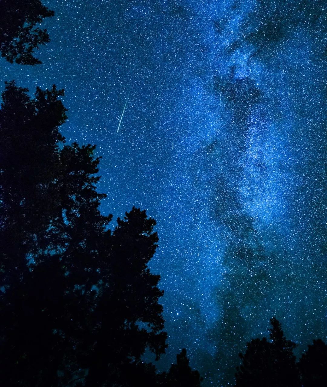 流星划过黑夜，与翠绿极光一起（太空小天体）