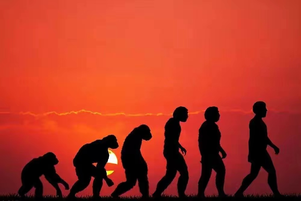 人类还在不断进化？科学家坦言：文化一直在推动进化（文化传播）