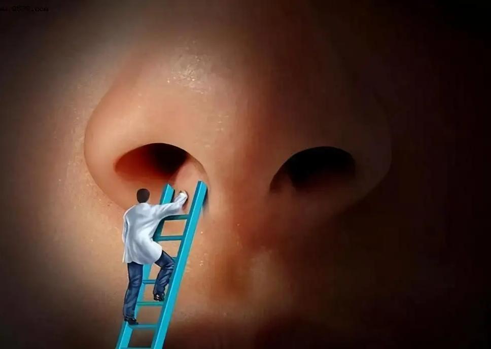 人类有两个鼻孔，为什么不是一个，或三个？（更有利）