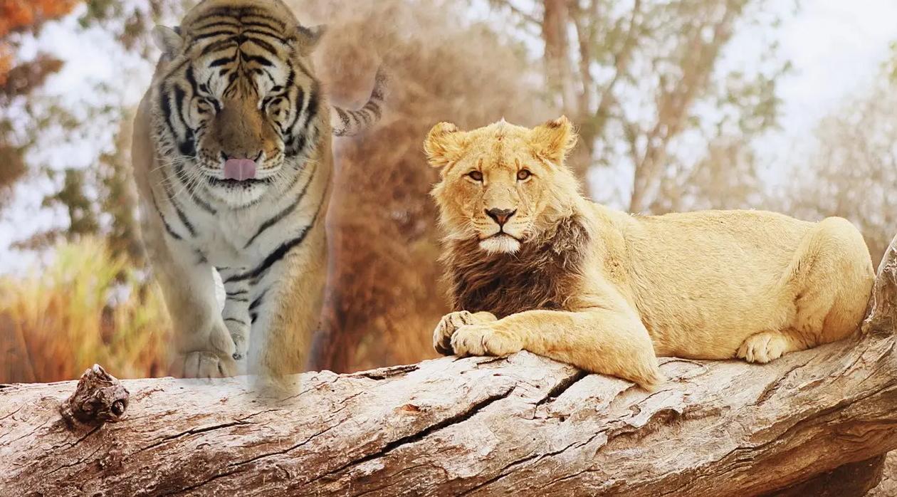 如果把老虎放到非洲大草原，它们还能生存吗？（适者生存）