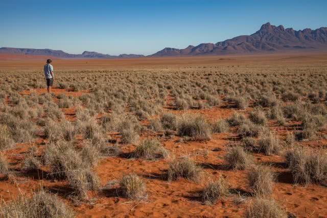 沙漠中的“精灵怪圈”，科学家花了41年，都搞不懂其是如何形成
