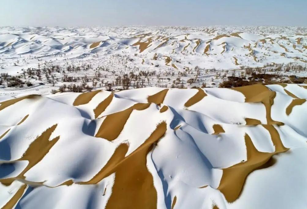 连撒哈拉沙漠都下雪了，你那里还没下雪吗？（人间炼狱）
