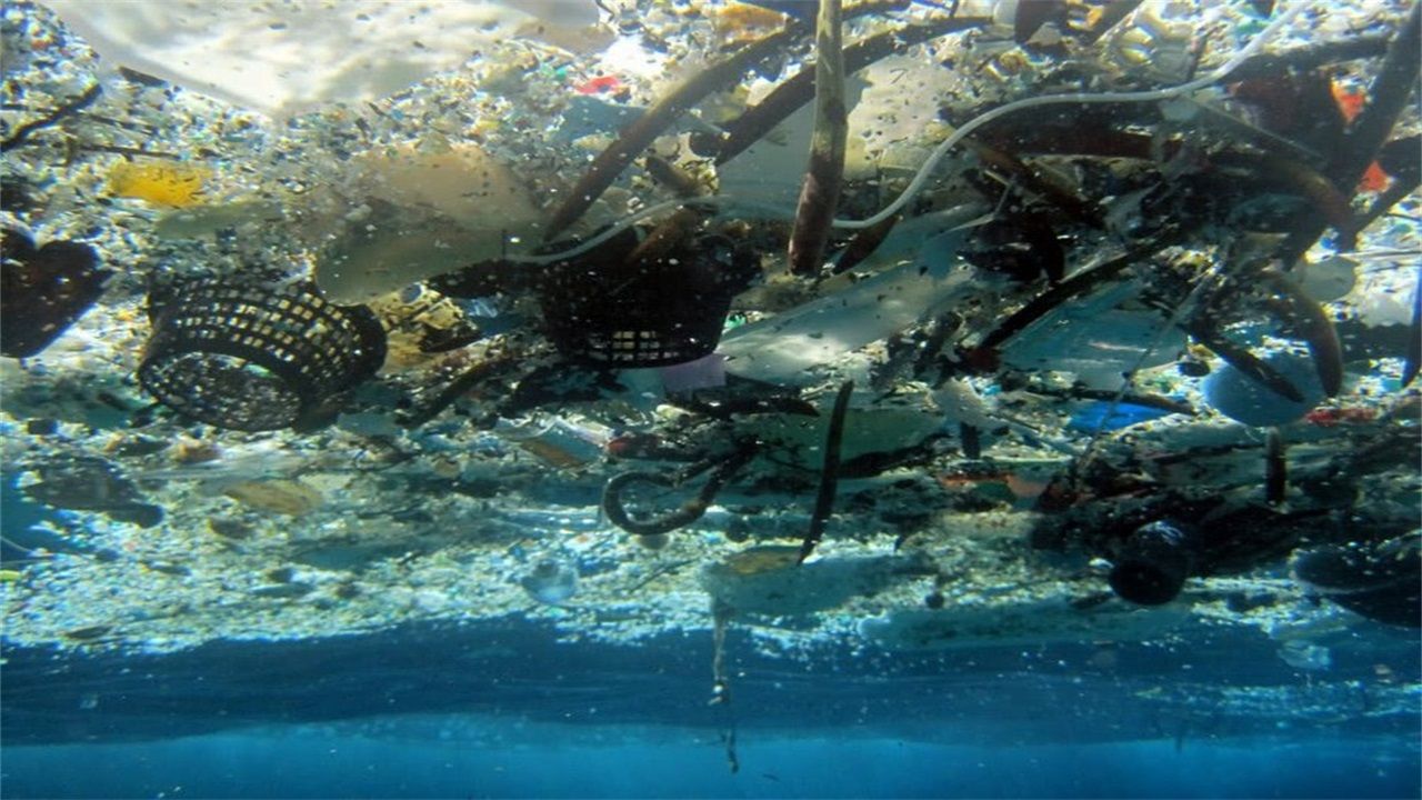 海洋塑料垃圾多达5万亿个，比银河系星星还多（海洋污染）
