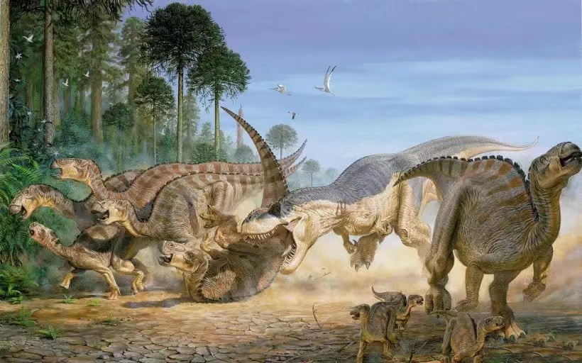 软壳的恐龙蛋化石，经过科学家确认，它极有可能来自白垩纪的海洋