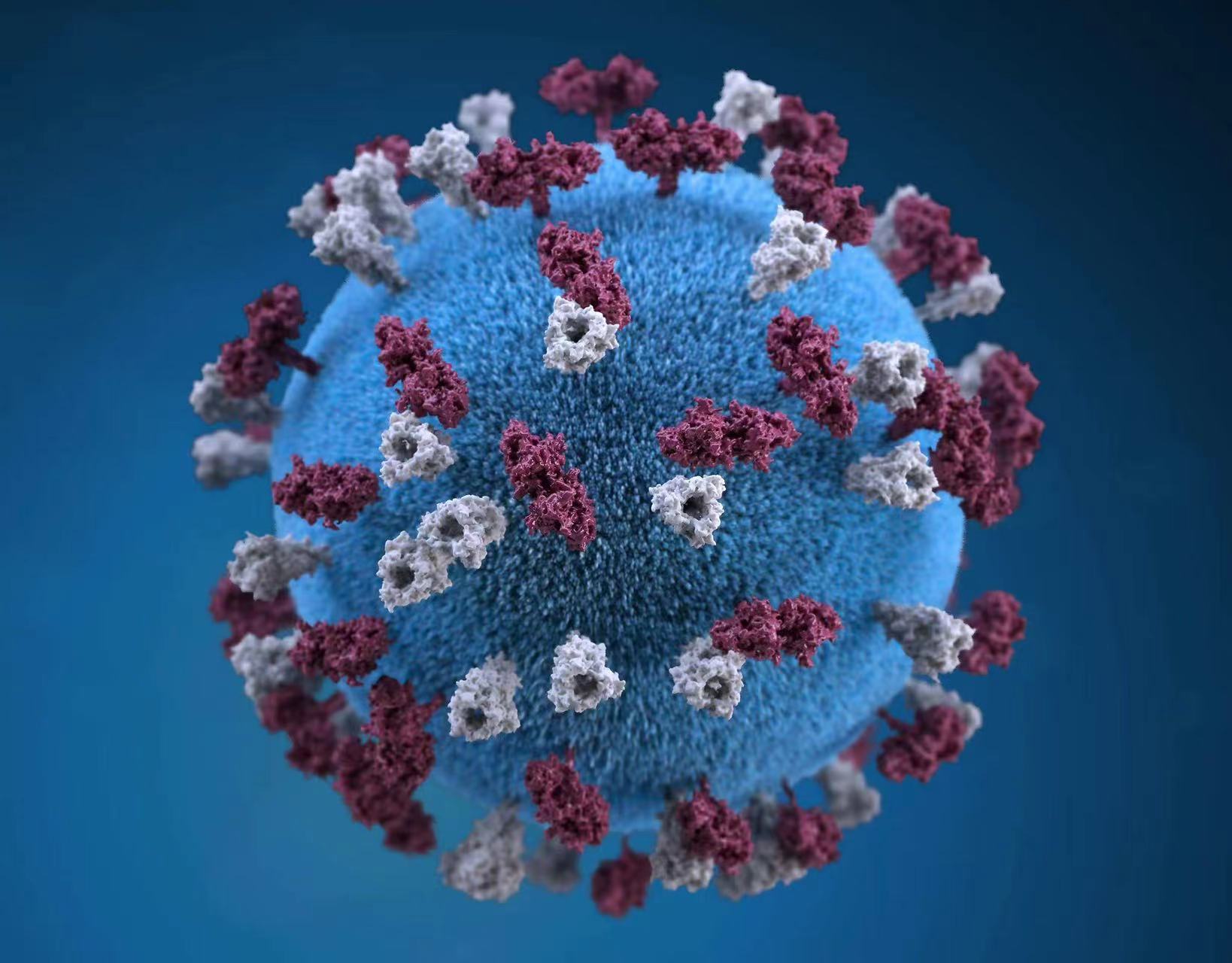 科学家的新发现，病毒可以窃取宿主的基因代码，创造新的病毒基因