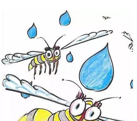 一滴雨的质量，是蚊子的50倍，当蚊子被雨滴击中时会死吗？