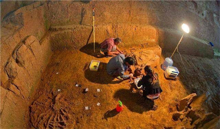 考古专家  看到古墓中出现鸡蛋手就发抖  难道真有那么恐怖