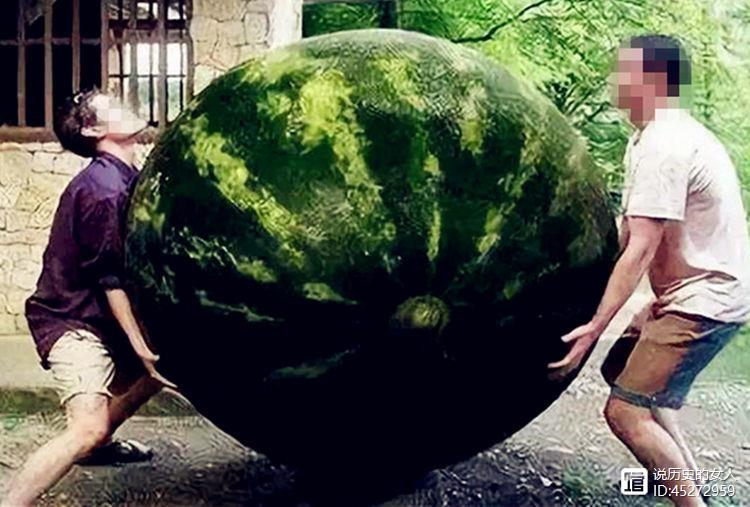 奇案钩沉：一个200斤西瓜，竟是在一死尸上长大，引出一桩凶杀案