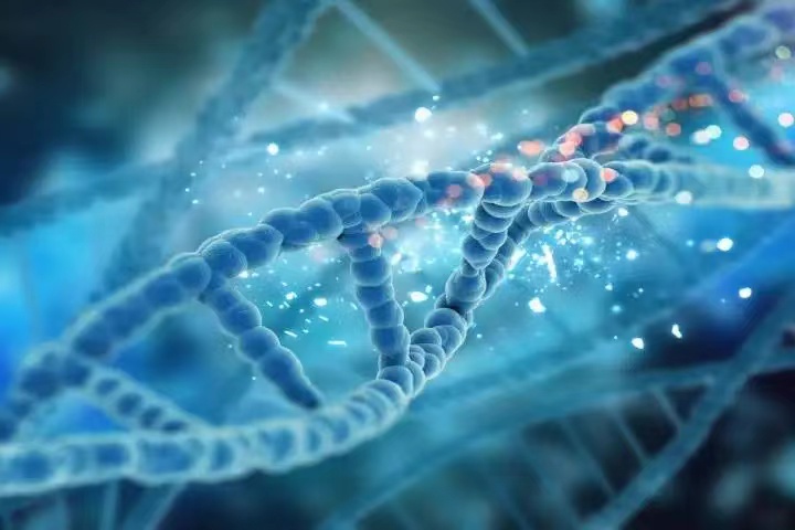 人体内藏着很多垃圾DNA 这些基因没什么用？可能掌握着衰老密码