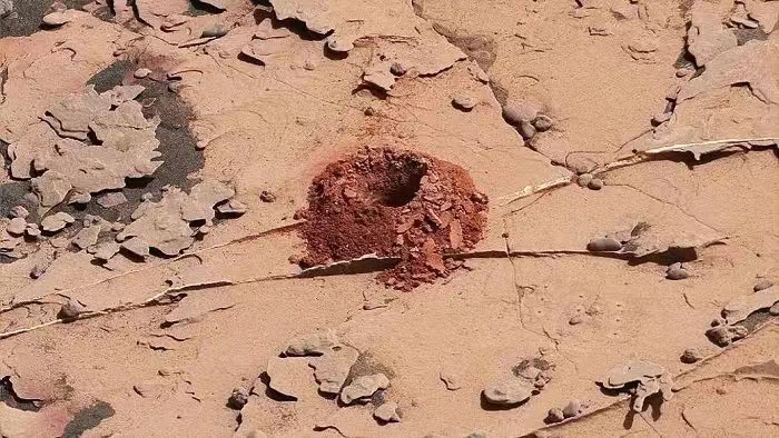 火星告急，人类已将“正向污染”带到火星来得太突然毫无准备