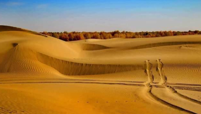 沙特的一个沙漠突然出水 难道说预言将会成真？（沙漠河流）