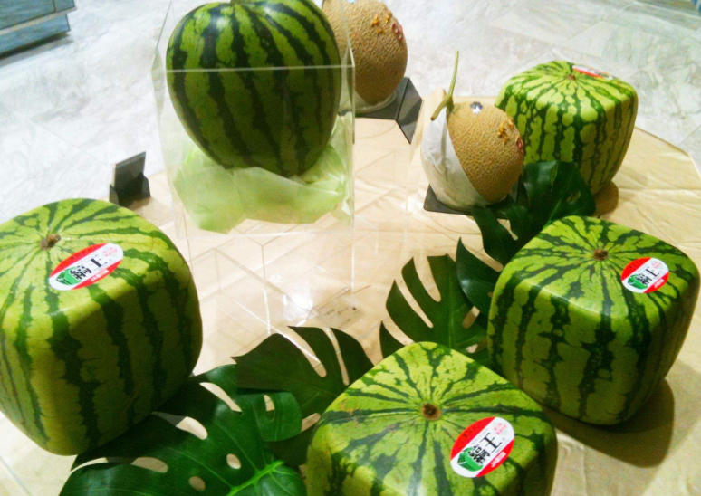 日本研究出来的特殊西瓜 居然敢卖到100多块钱（方形西瓜）