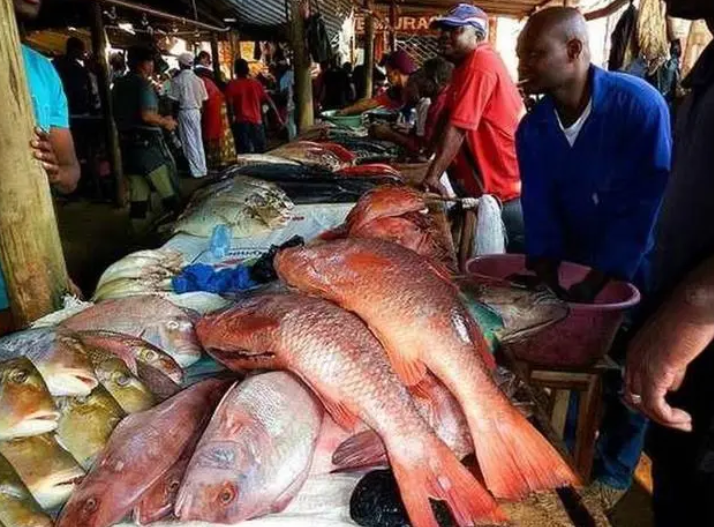 当地人宁愿饿死也不吃海鲜 非洲人都是怎么想的？（非洲饮食）