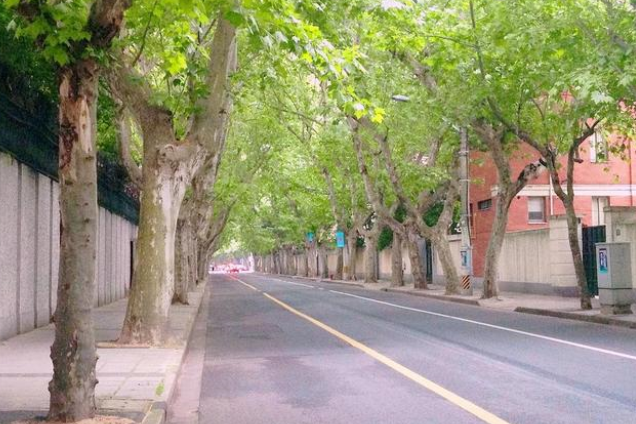 上海最奇怪的的路 控制许多别墅还不允许拍照（康平路）