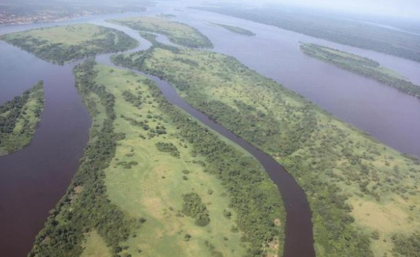 非洲刚果雨林 为啥成为了人类的禁区？（森林禁区）