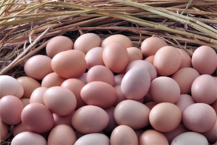 市场上那么多鸡蛋 如何区分人和自然