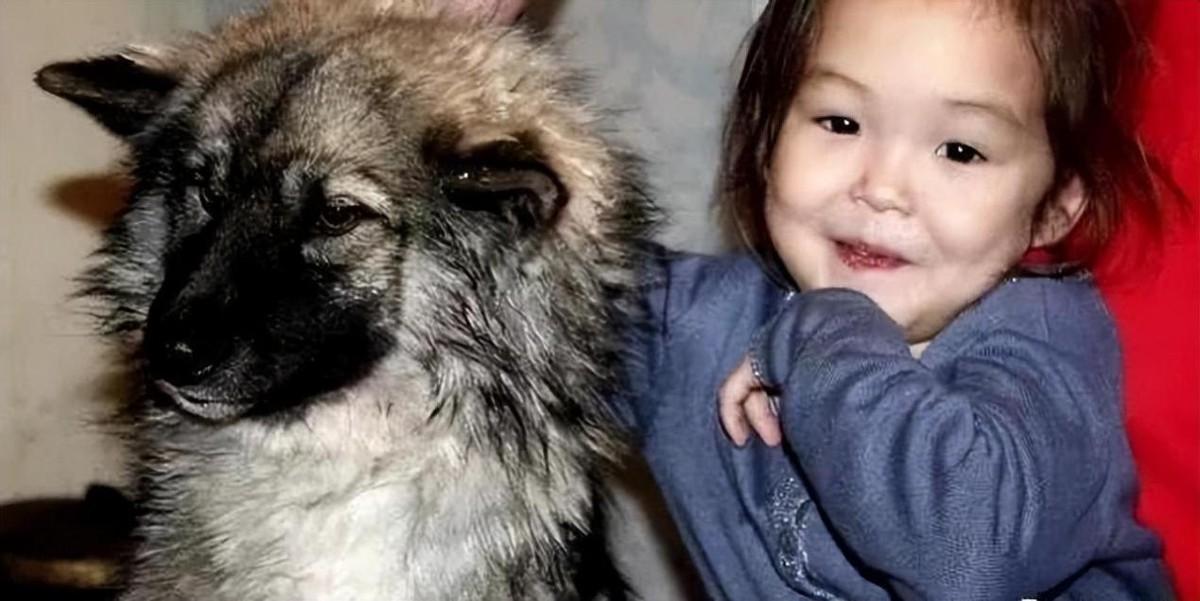 2014年，3岁女娃和狗一起失踪，11天后狗叼女孩发圈回来“报警”